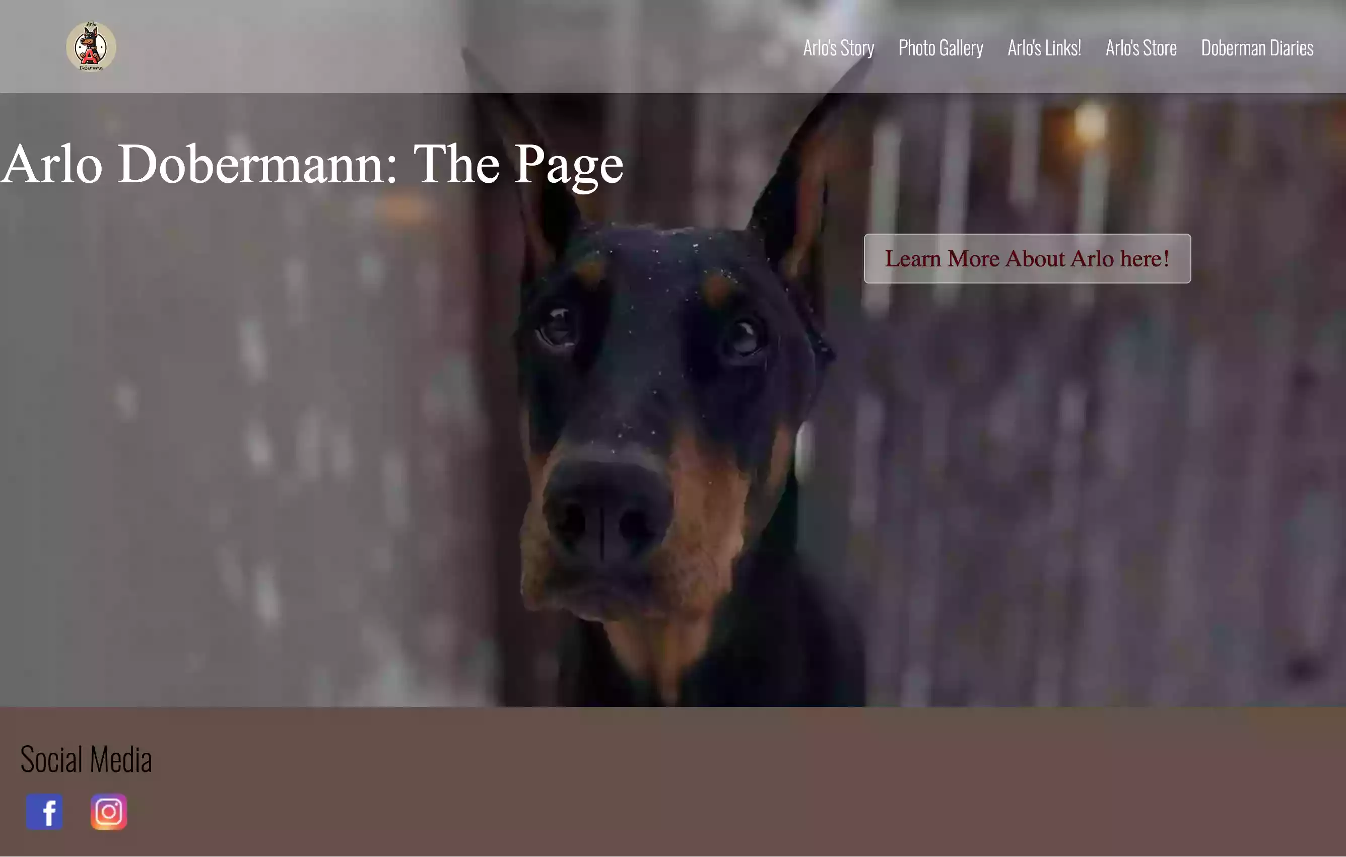 Arlo Dobermann website